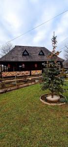ein Baum in einem Hof vor einem Gebäude in der Unterkunft Vlad De Săliște in Săliştea de Sus