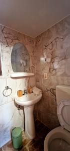 a bathroom with a sink and a toilet at Vlad De Săliște in Săliştea de Sus