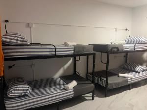Ліжко або ліжка в номері Mounty K backpack Hostels