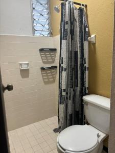 ein Badezimmer mit Toilette und Duschvorhang in der Unterkunft Encantador departamento a solo 7 minutos caminando de la playa in Puerto Escondido