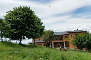 a horse standing in the grass in front of a house at Hotel Rural Yeguada Albeitar in Villayón