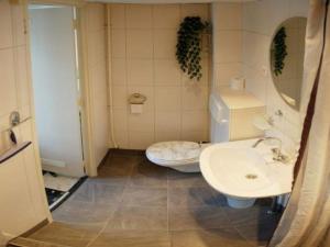 a bathroom with a toilet and a sink at Holiday home in Petten near beach in Petten +16 photos