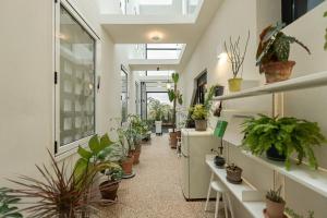 a hallway filled with lots of potted plants at Jeju Rapauza Stay in Yusuam