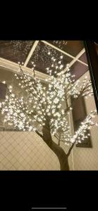 a tree in front of a house with lights on it at 渋谷駅徒歩10分!!一棟まるごと貸し切り!お子様歓迎駐車場無料10人ok5部屋バスルーム2つ in Tokyo