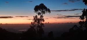 a silhouette of a tree in front of a sunset at New Eagle Best Inn in Haputale +32 photos