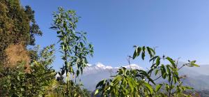 Lanskap alam di dekat farm stay