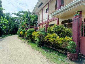 a house with plants on the side of a road at Peace Lily Studio Apartments Panglao in Panglao Island