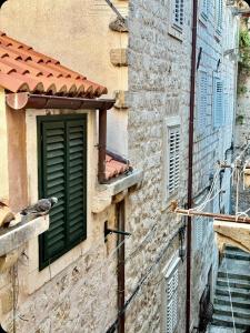 un oiseau assis sur le côté d'un bâtiment avec une fenêtre dans l'établissement Dubrovnik sweet little corner apartment, à Dubrovnik 6 autres photos