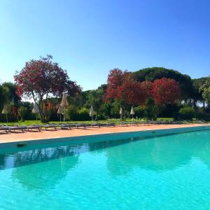 Piscina di Hotel with swimming-pool in Arborea just 600 meters from the sea o nelle vicinanze