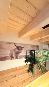 Φωτογραφία από το άλμπουμ του Maso K - Il Gufo Dorato σε Folgaria