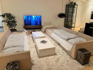 Μια τηλεόραση ή/και κέντρο ψυχαγωγίας στο High-end Apartment in Central Copenhagen