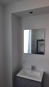 a bathroom with a white sink and a mirror at Chambre d'hôte, la b&w in Liège