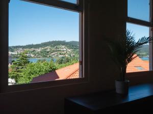 a window with a potted plant in a room with a view at La Fantástica Pontedeume 1 in Puentedeume