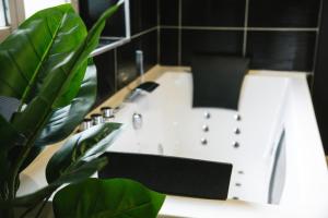 a bathroom counter with a sink and a plant at Capstay Point central ch1 - Balneo - Netflix in Tourcoing +10 photos