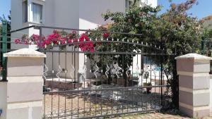 Zahrada ubytování Villa Aydın 2