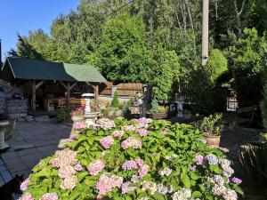 Vonkajšia záhrada v ubytovaní Villa Anastazis - Penzion Eden
