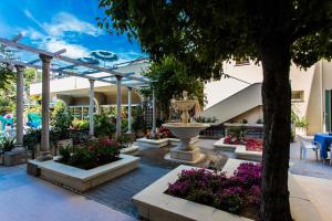 Zahrada ubytování Hotel Nettuno