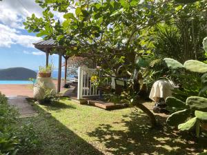 a garden with a gazebo next to the beach at Belle villa avec piscine à Caféière in Radelin