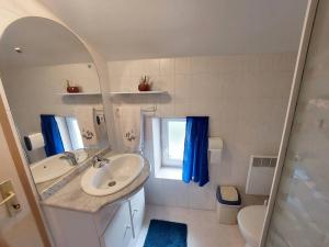 un bagno con lavandino, WC e specchio di Gîte l'Ostalet de Sarron à Brax, Lot et Garonne a Brax Altre 11 foto