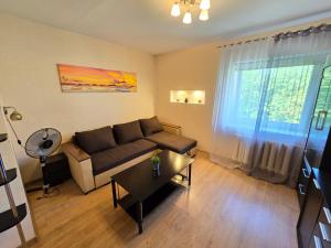 Posezení v ubytování Z15 River Apartment