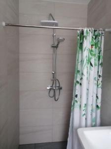 a shower with a shower curtain in a bathroom at Ferienhaus-der-Familie-Demmler in Crottendorf
