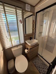 a small bathroom with a toilet and a sink at The Retreat 6 - Hot tub Mini Lodge, WiFi, pet friendly, bed linen - Golden Palm Resort - Meadow Lakes Caravan & Lodge Hire in Chapel Saint Leonards