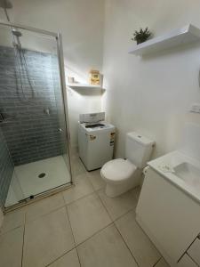 a bathroom with a shower and a toilet and a sink at Hotel Koorawatha garden unit - ground floor in Koorawatha
