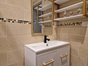 a bathroom with a sink and a mirror at Les Rives d 'Espalion in Espalion +38 photos