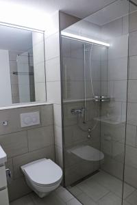 um banheiro com box de vidro e vaso sanitário em Apartment Apt C 033 by Interhome em Disentis