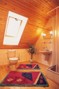 Kúpeľňa v ubytovaní Horská chata Stará Horáreň 1