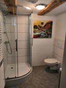 a bathroom with a shower and a toilet at Apartment Sonnenschein in Bühl
