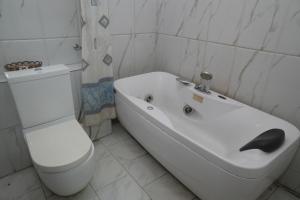 Ένα μπάνιο στο AOTEL HOTEL Ikeja