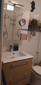 a bathroom with a sink and a shower and a toilet at Les Ondines in Estréelles