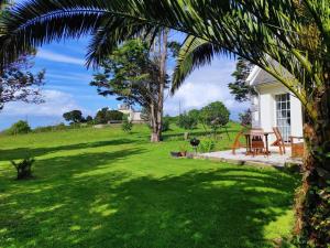a yard with a house and a palm tree at Ty gwenn in Cancale