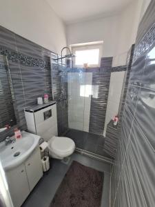 a bathroom with a toilet and a sink and a shower at Villa Renata in Budapest +10 photos