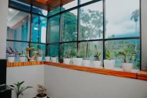 En have udenfor Saj Heritage + 17 billeder