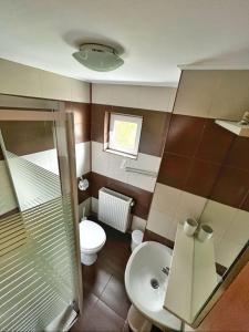 a small bathroom with a toilet and a sink at Vila Craita Zarnesti in Zărneşti