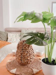 a table with two potted plants on it at 2 Chambres avec Balcon en Centre-Ville et Plage au Calme in Canet-en-Roussillon