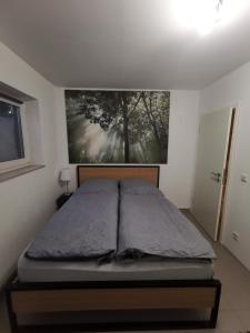 En eller flere senge i et værelse på Dürr