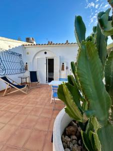 グラン・アラカントにあるCasa Azul de Agnesのパティオ(サボテン、テーブル、椅子付)