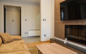 a living room with a couch and a flat screen tv at Mountain Paradise Ski In & Out - Vila Golija Kopaonik in Kopaonik +12 photos