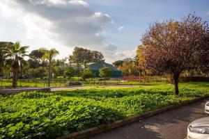 Taman di luar Casina Soleggiata