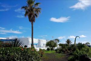 Vonkajšia záhrada v ubytovaní Seaside Villa La Graciosa