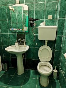 ソンボルにあるApartman Opačić 2の緑のタイル張りのバスルーム(トイレ、シンク付) +8枚の写真