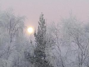 a snow covered forest with a street light in the background at Grand Hostel Ivalo in Ivalo