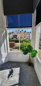 une fenêtre avec une plante en pot dans une pièce dans l'établissement Spa House Retreat, à Whitby