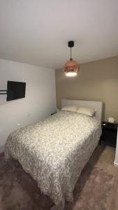 a bedroom with a bed and a flat screen tv at Maison cozy proche centre ville in Orvault