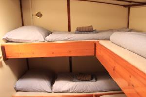 En eller flere senge i et værelse på Zeilschip Antonia