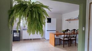 Afbeelding uit fotogalerij van Casa das Plantas in Gravatal