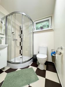 a bathroom with a shower and a toilet at Poilsio namelis po juodalksniais (Nemirseta) in Palanga